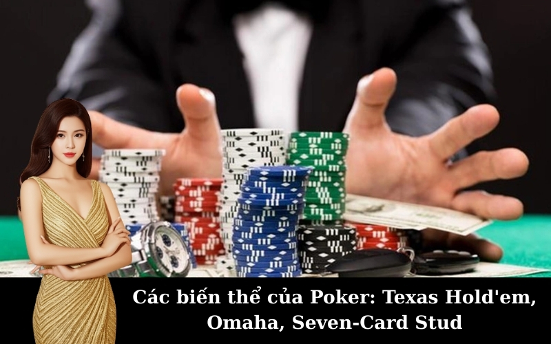 Các biến thể của Poker: Texas Hold'em, Omaha, Seven-Card Stud