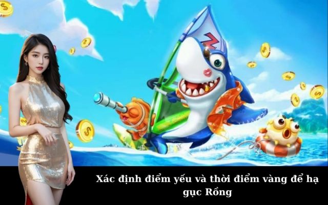 Xác định điểm yếu và thời điểm vàng để hạ gục Rồng