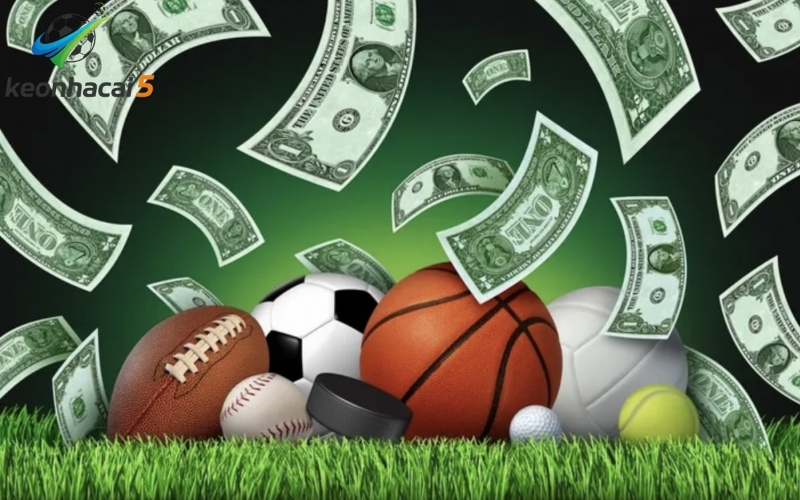 Chiến lược cá cược kèo rung hiệp 2 hiệu quả