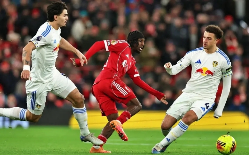 Sai lầm 1 Đặt cược dựa trên cảm tính và sự yêu thích